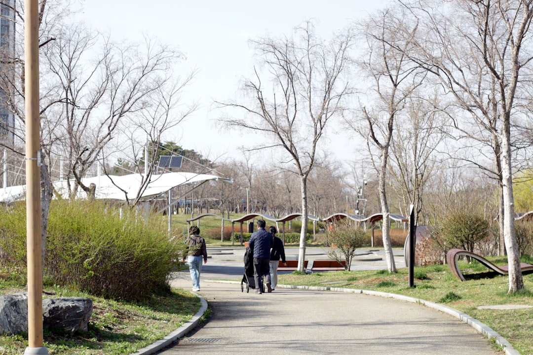 푸른 공원에서 아침 햇살을 맞으며 활기차게 걷는 사람의 모습