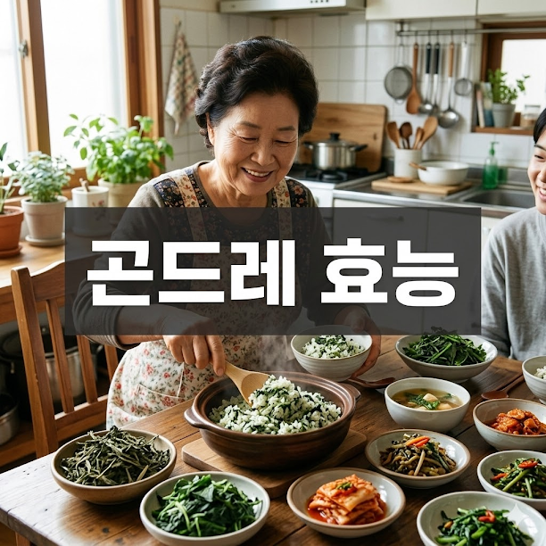 곤드레 효능