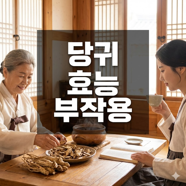 당귀 효능 부작용