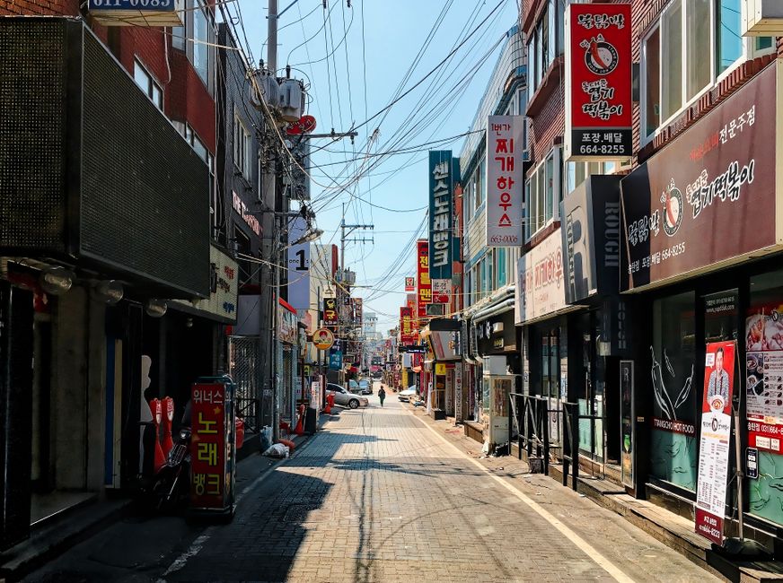 락토페린 부작용