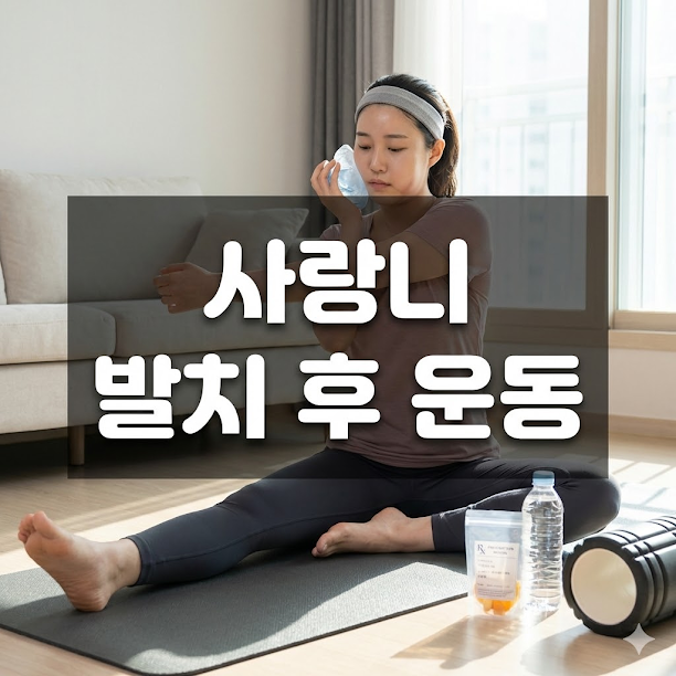 사랑니 발치 후 운동