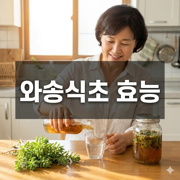 신선한 와송 식물과 갈색 와송식초 병이 놓여 있는 모습, 와송식초의 자연 치유력을 강조