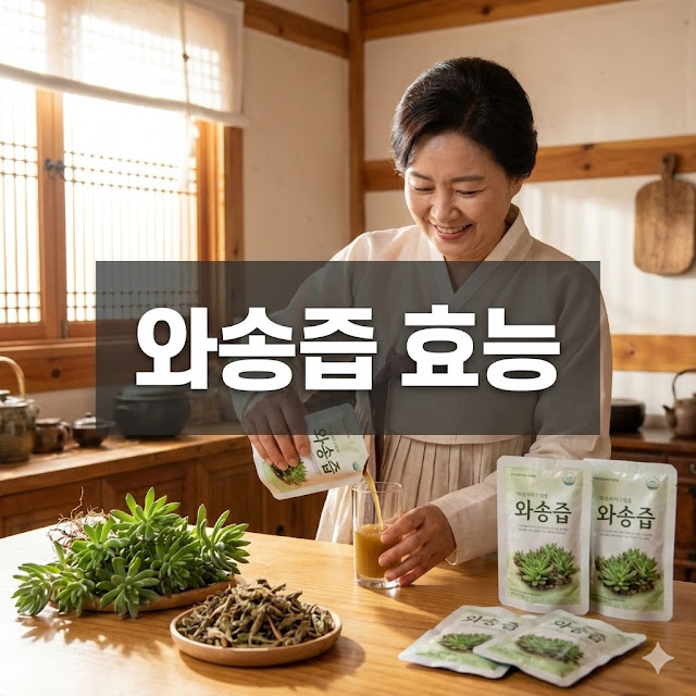 와송즙 효능