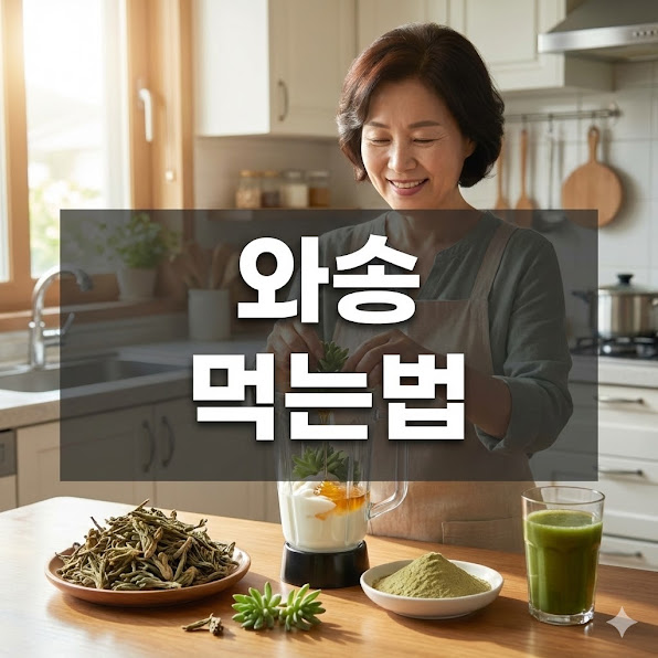 와송 먹는법