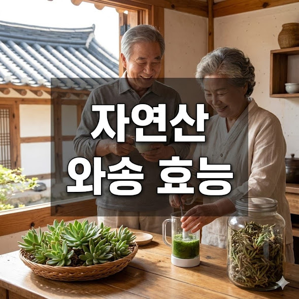 자연산 와송 효능