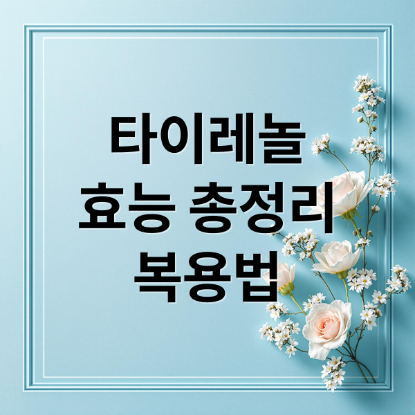 타이레놀 효능 총정리 복용법 (타이레놀 효능 부작용 복용법)