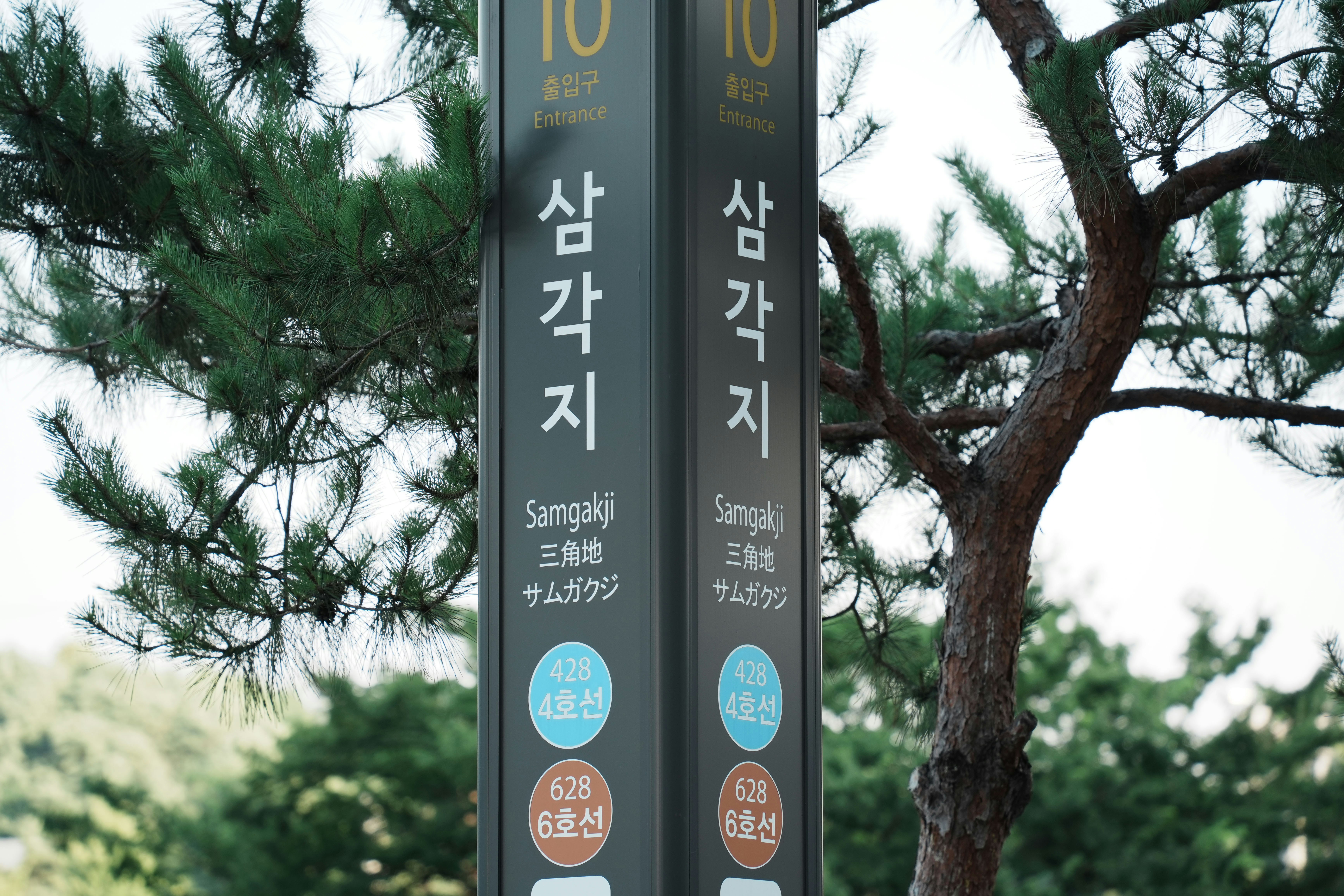 활기찬 아침, 부드러운 스트레칭으로 혈액순환을 돕는 사람의 모습
