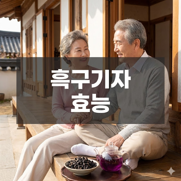 흑구기자 효능