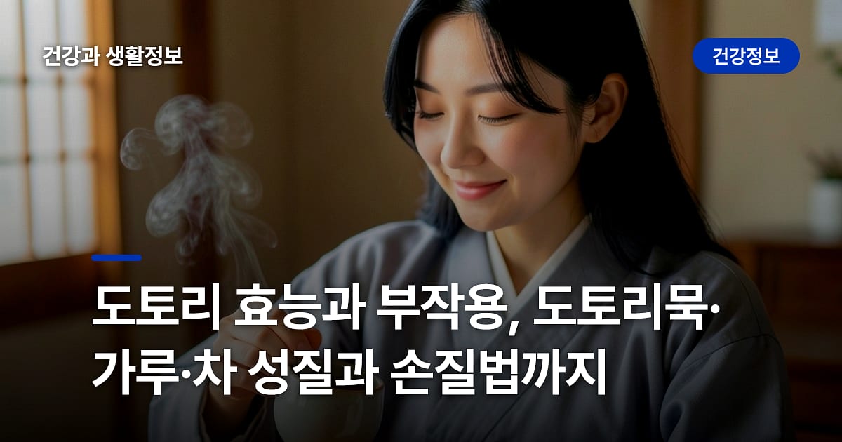 도토리 효능과 부작용, 도토리묵·가루·차 성질과 손질법까지