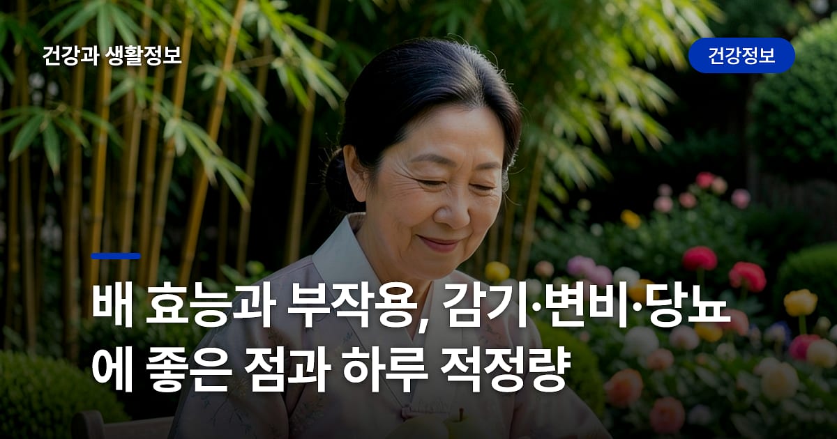 배 효능과 부작용, 감기·변비·당뇨에 좋은 점과 하루 적정량