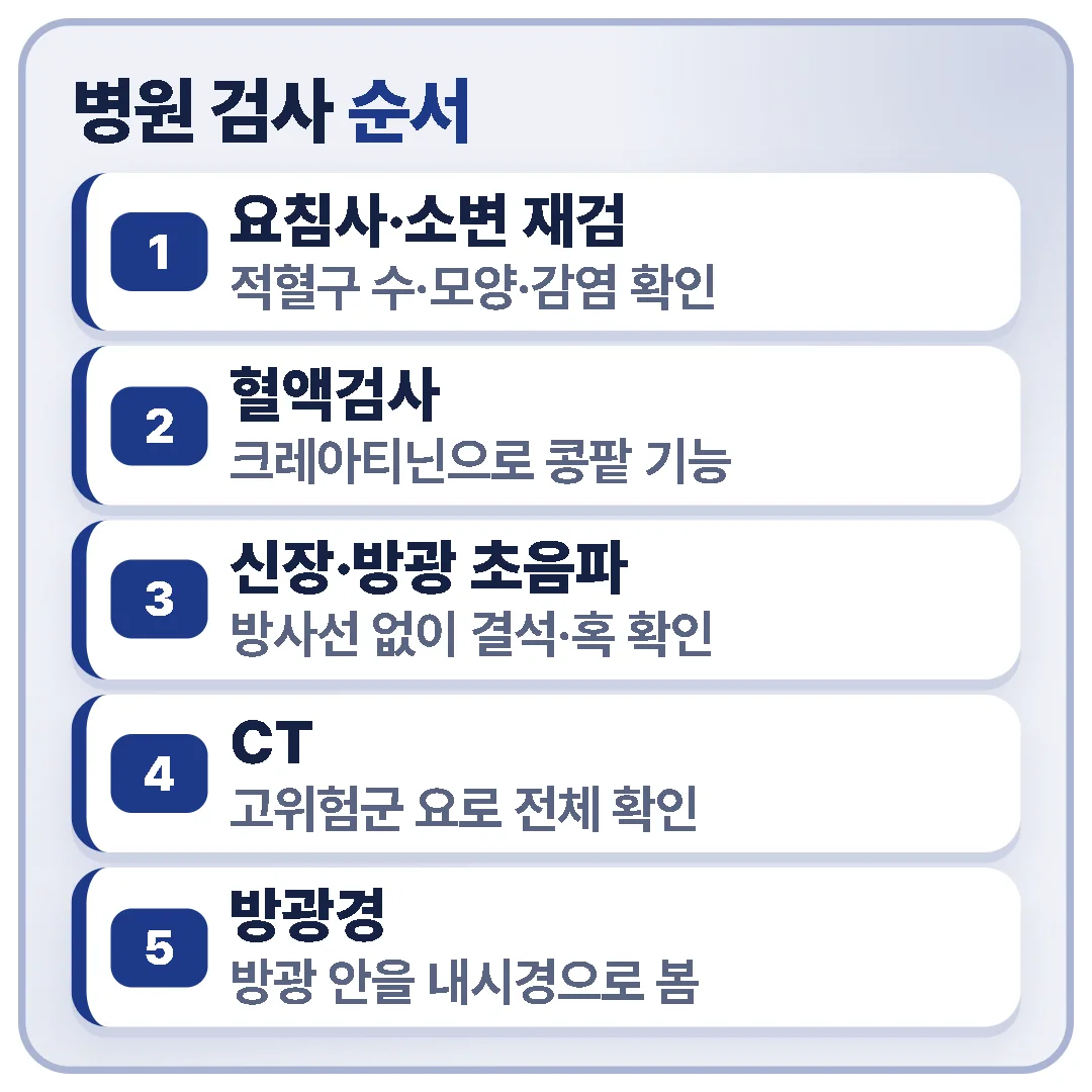 병원 검사는 요침사·소변 재검, 혈액검사, 신장·방광 초음파처럼 간단한 것부터 시작하고, 필요하면 CT와 방광경으로 이어집니다.