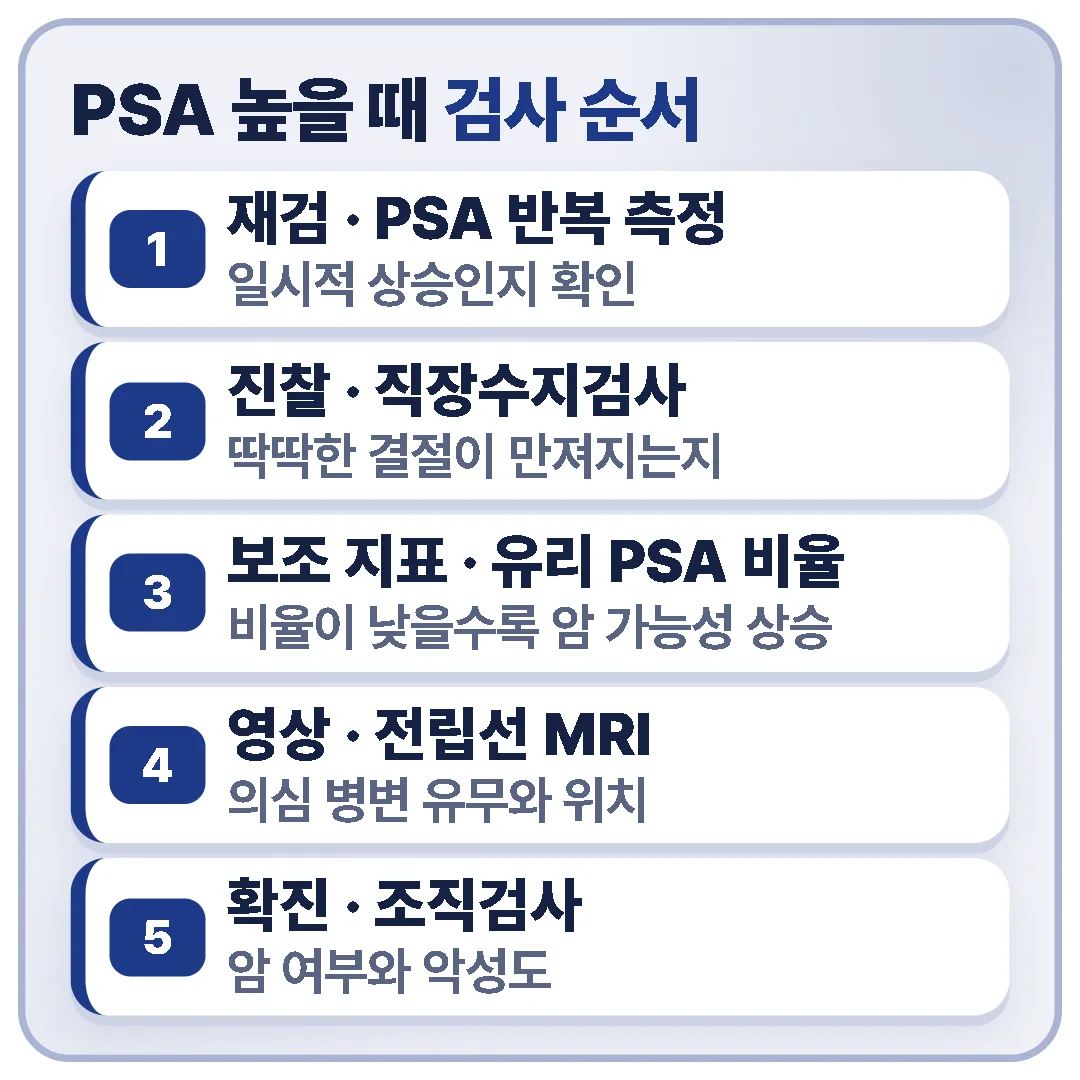 PSA가 높을 때 검사 순서 — 재검, 직장수지검사, 유리 PSA 비율, 전립선 MRI, 조직검사