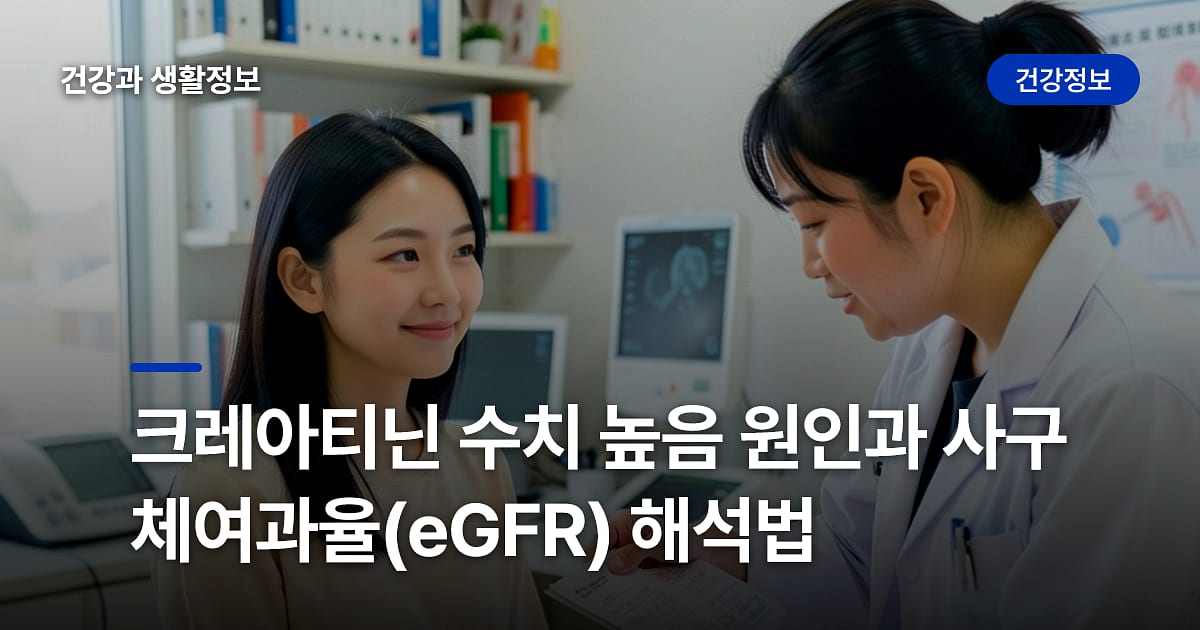 크레아티닌 수치 높음 원인과 사구체여과율(eGFR) 해석법