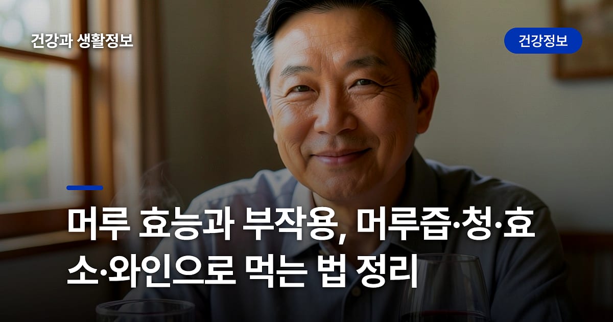 머루 효능과 부작용, 머루즙·청·효소·와인으로 먹는 법 정리