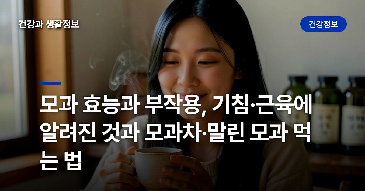 모과 효능과 부작용, 기침·근육에 알려진 것과 모과차·말린 모과 먹는 법