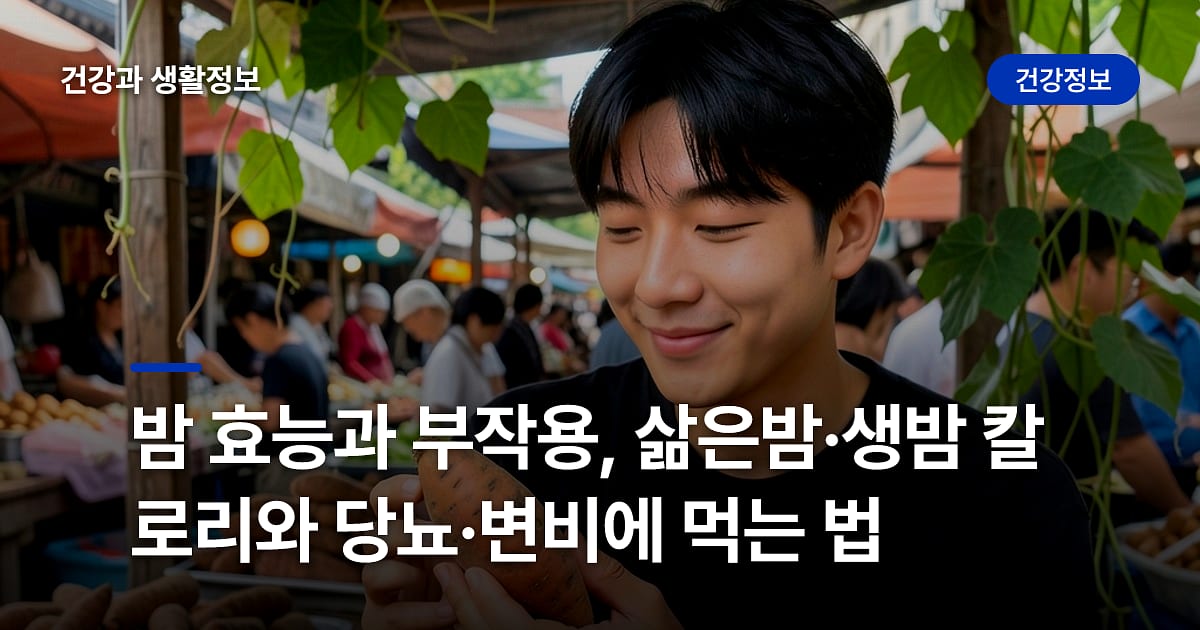 밤 효능과 부작용, 삶은밤·생밤 칼로리와 당뇨·변비에 먹는 법
