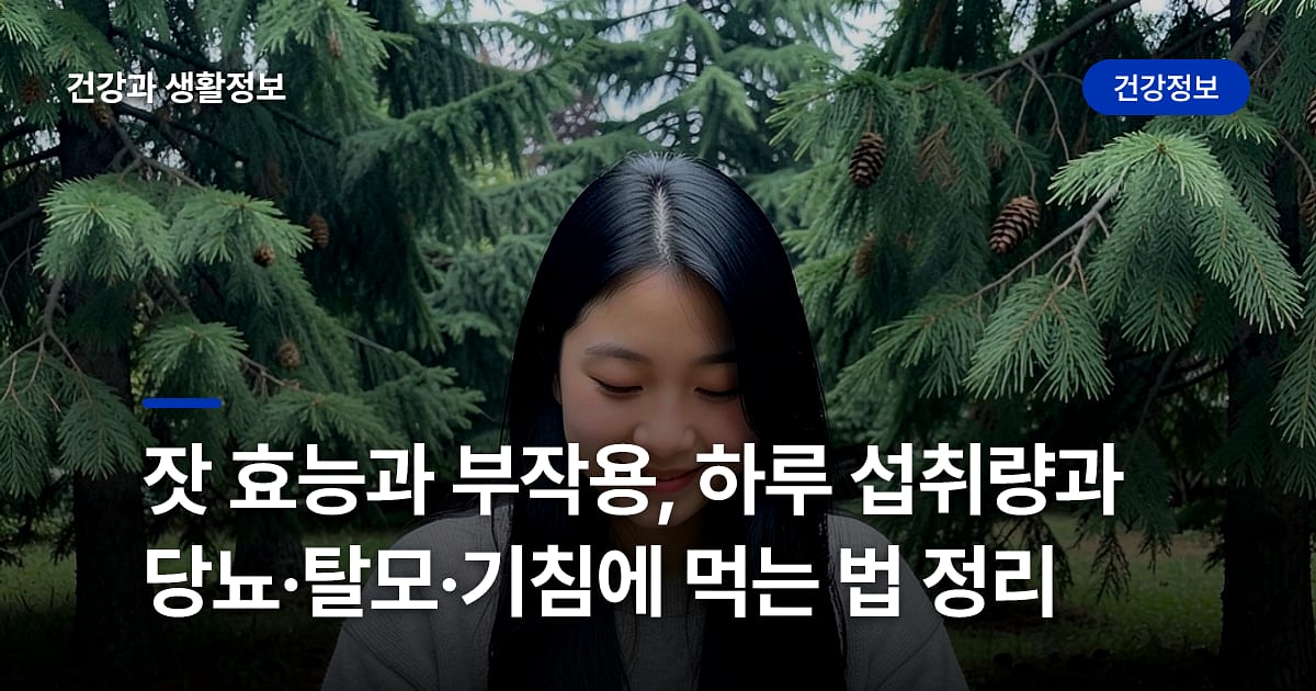 잣 효능과 부작용, 하루 섭취량과 당뇨·탈모·기침에 먹는 법 정리