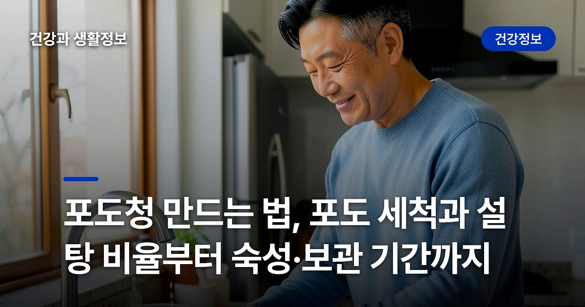 포도청 만드는 법, 포도 세척과 설탕 비율부터 숙성·보관 기간까지
